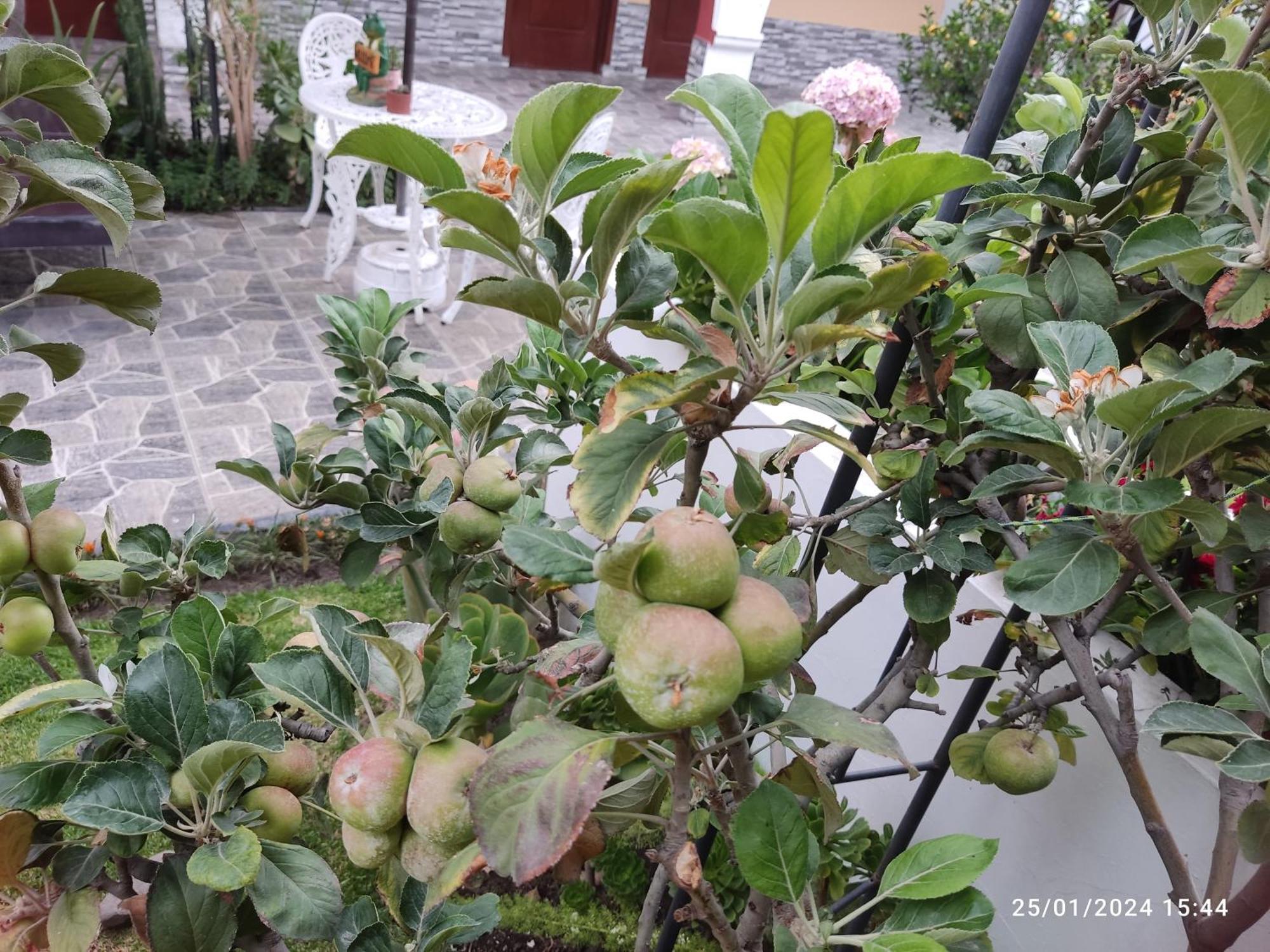 Casa Baraquel Hotel Arequipa Luaran gambar
